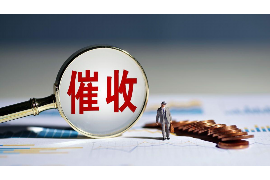 湘阴为什么选择专业追讨公司来处理您的债务纠纷？